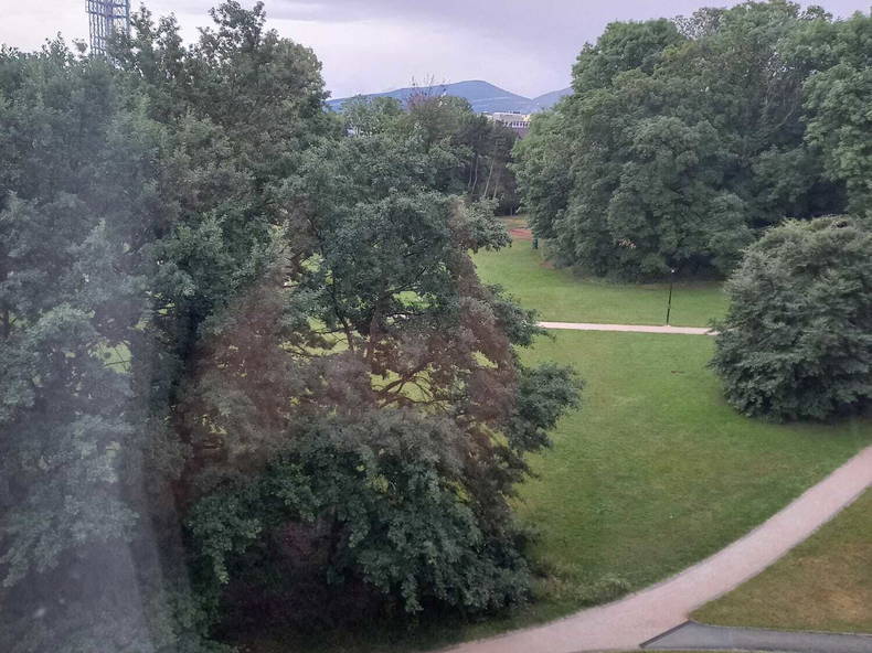 Toda La Casa Genève 143170-4