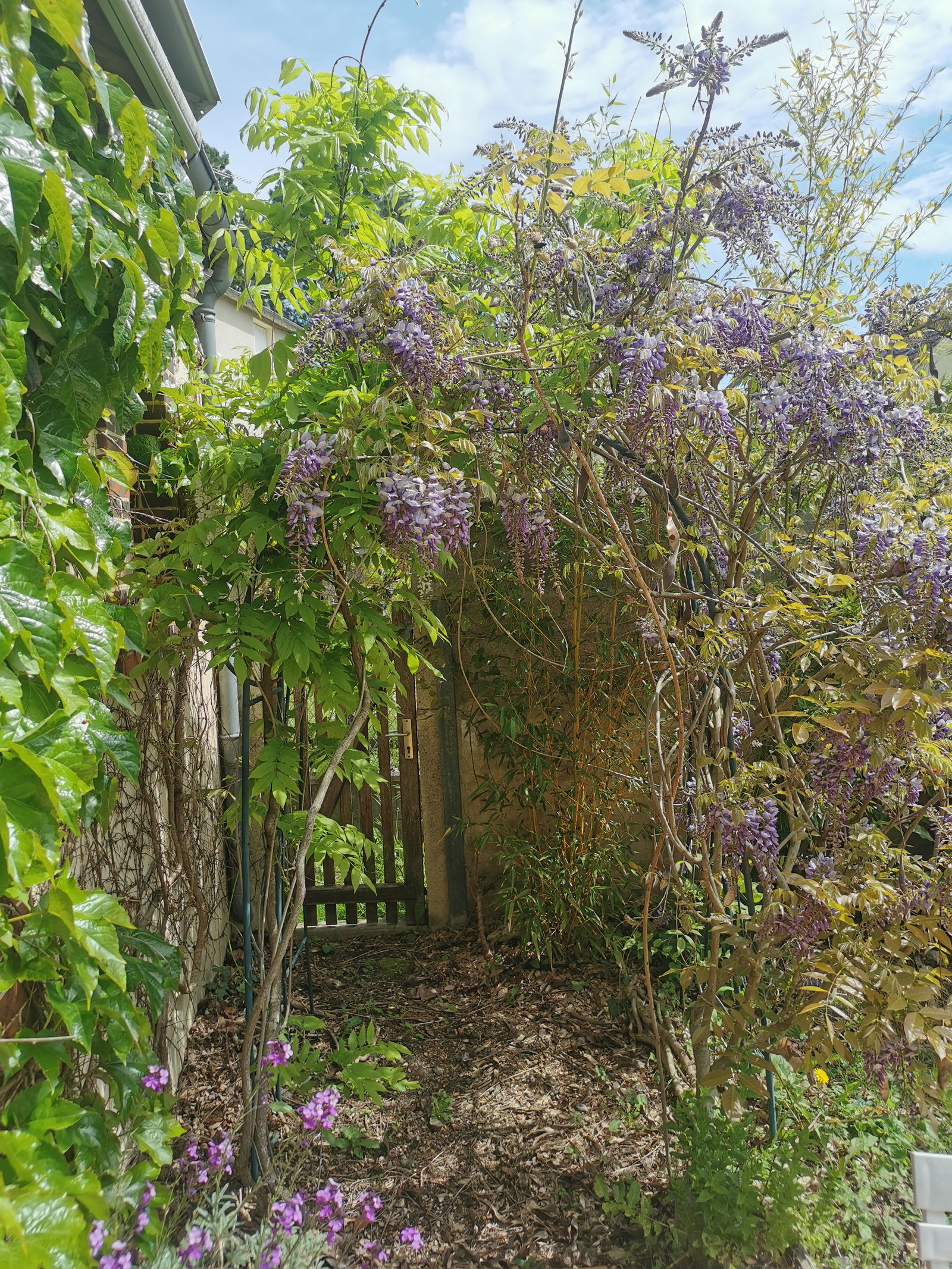 Homestay Sablons sur Huisne 397185