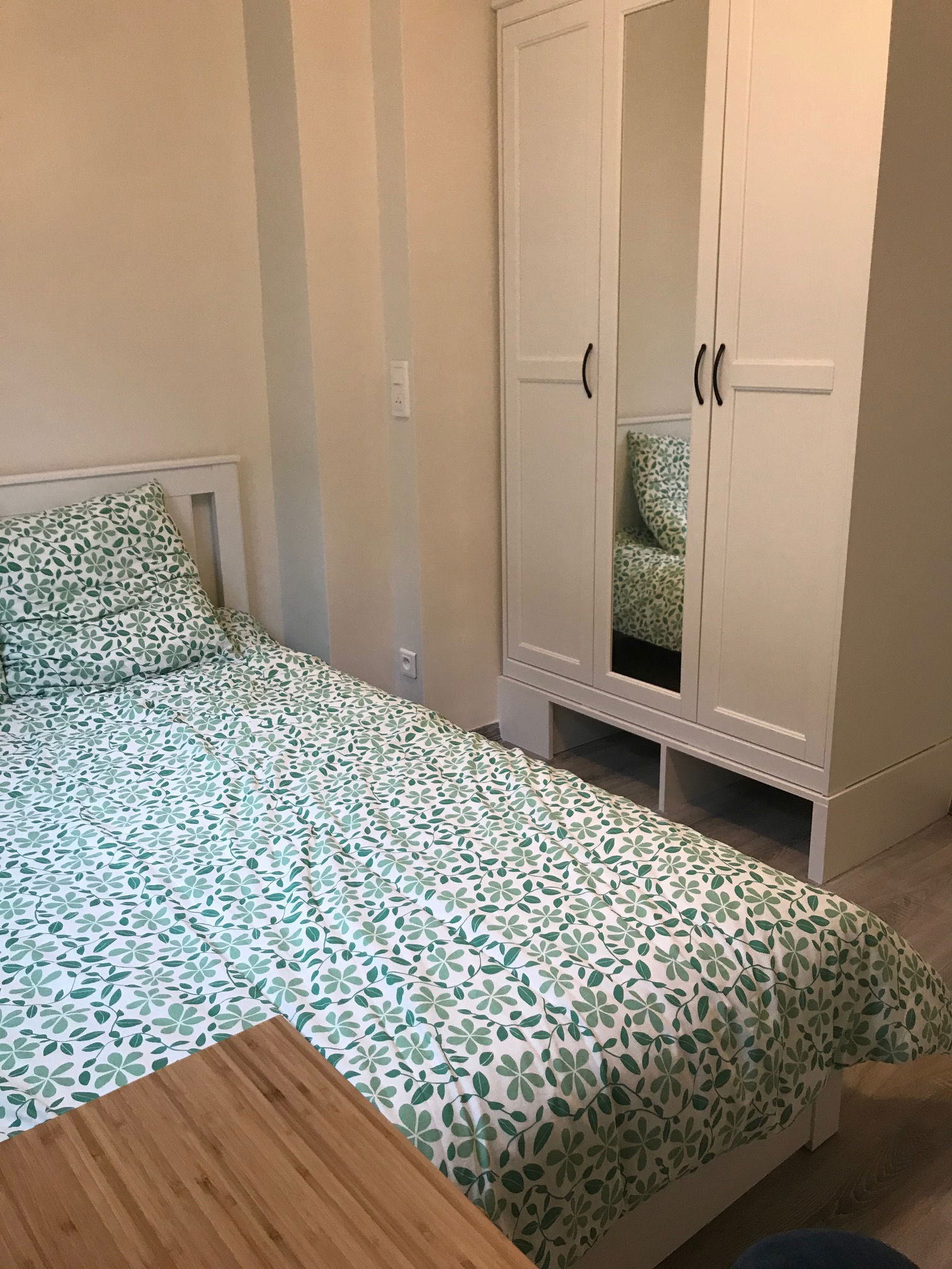 Kolokasie Saint-Mandé 512313