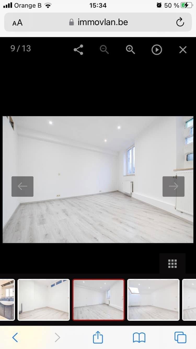 Kolokasie Charleroi 414727