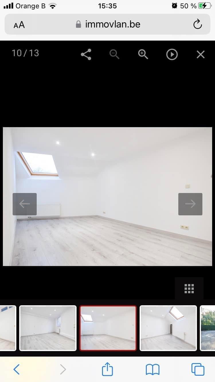 Kolokasie Charleroi 414727