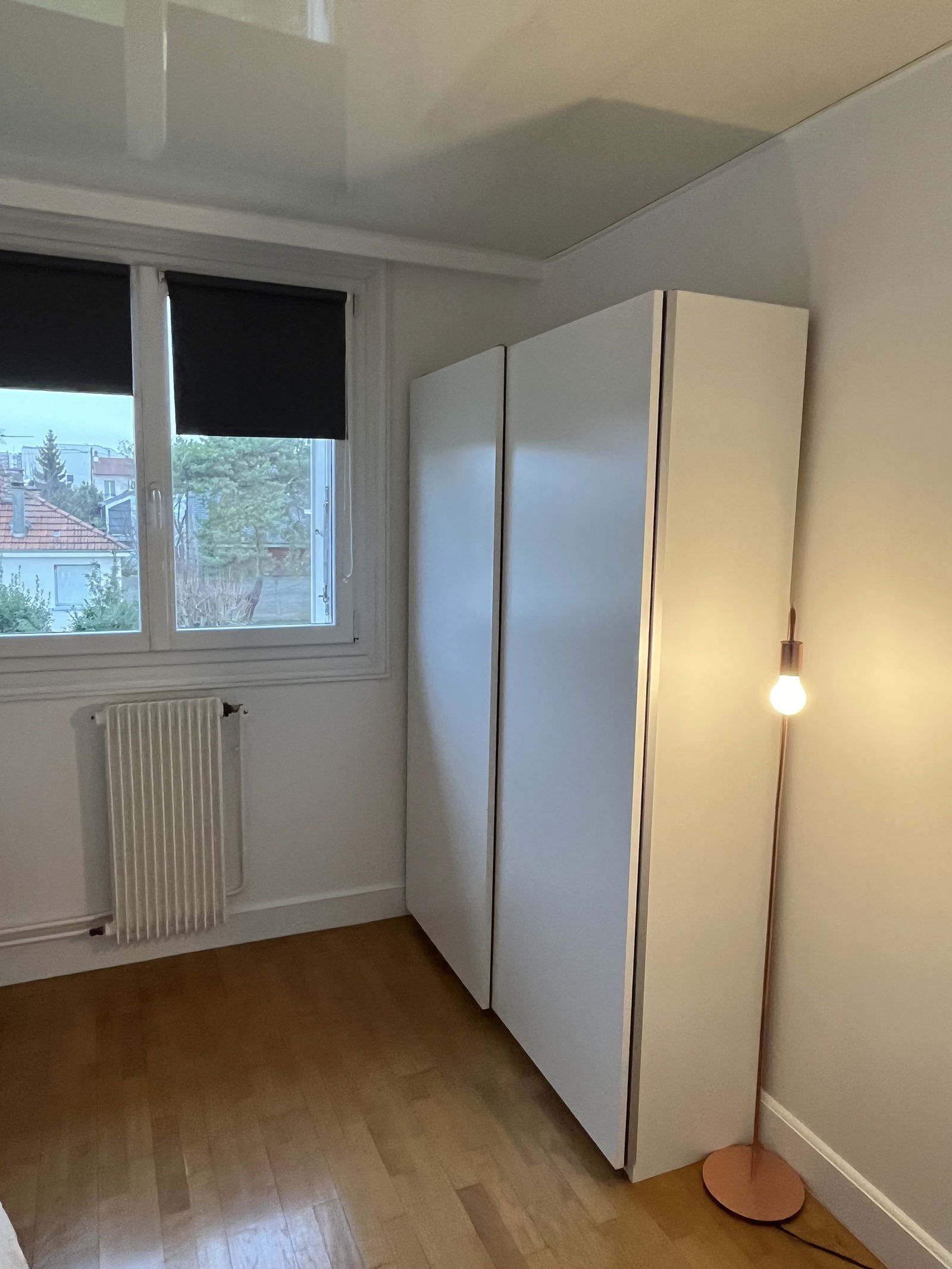 Kolokasie Vitry-sur-Seine 597008