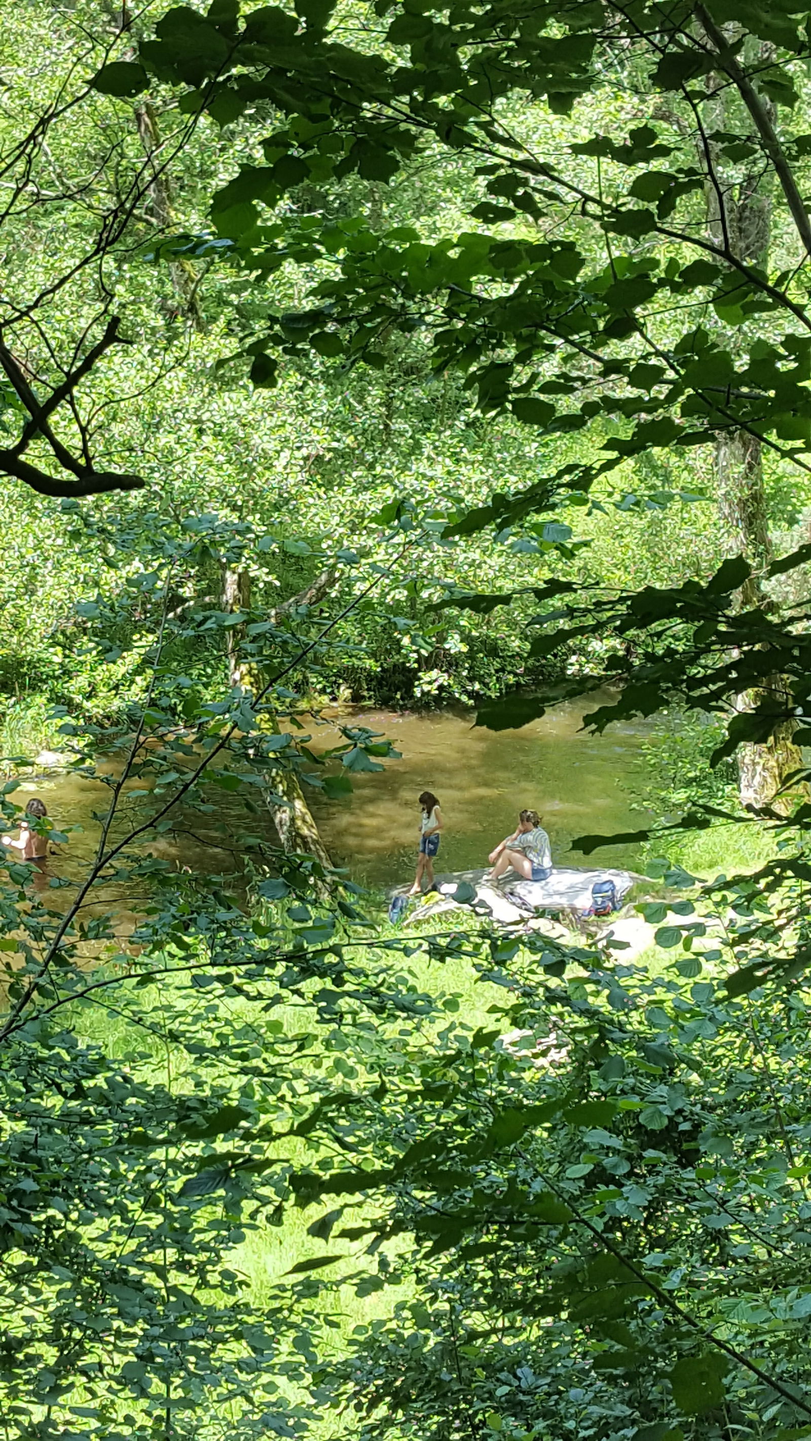 Unabhängiges Studio Saint-André-de-Chalencon 206532