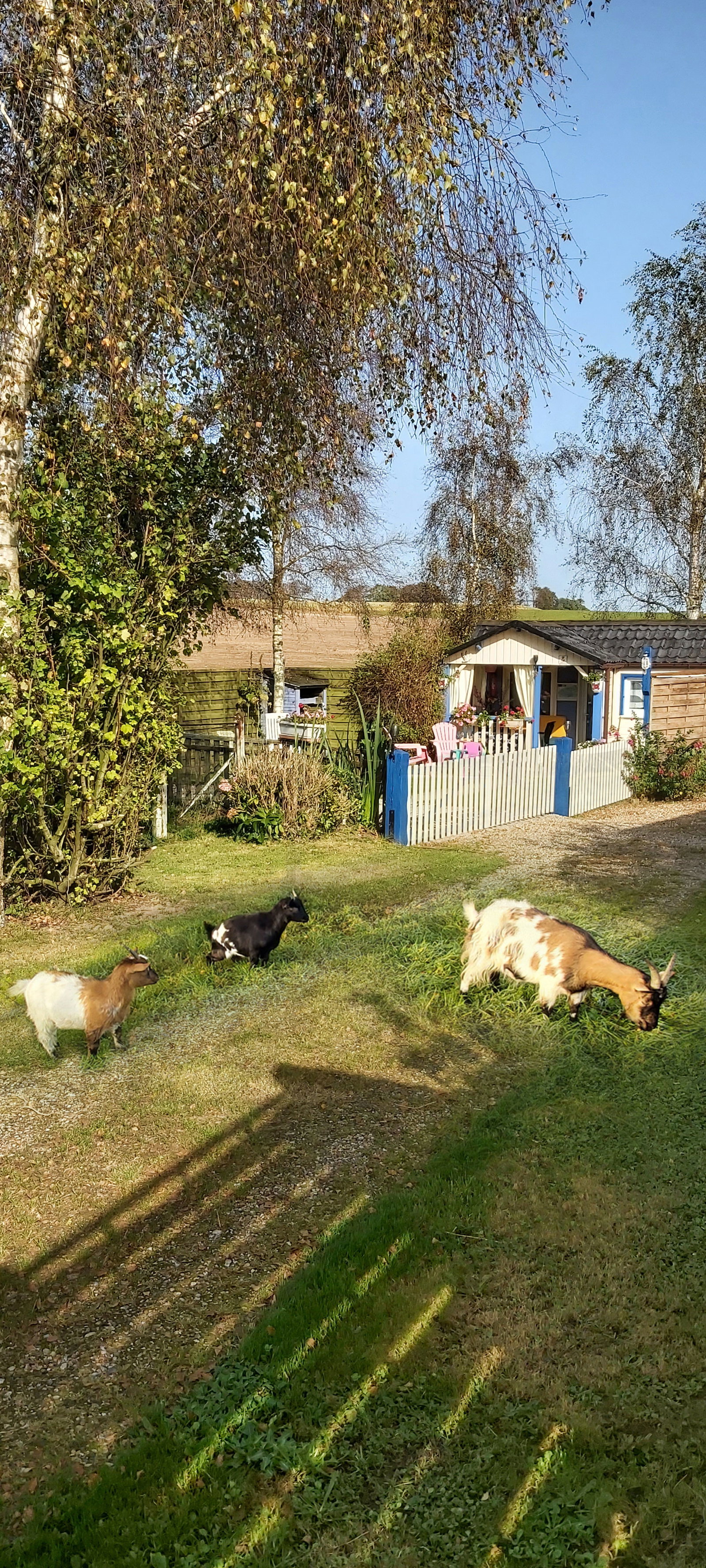 Hela Huset Criquetot-l'Esneval 252199