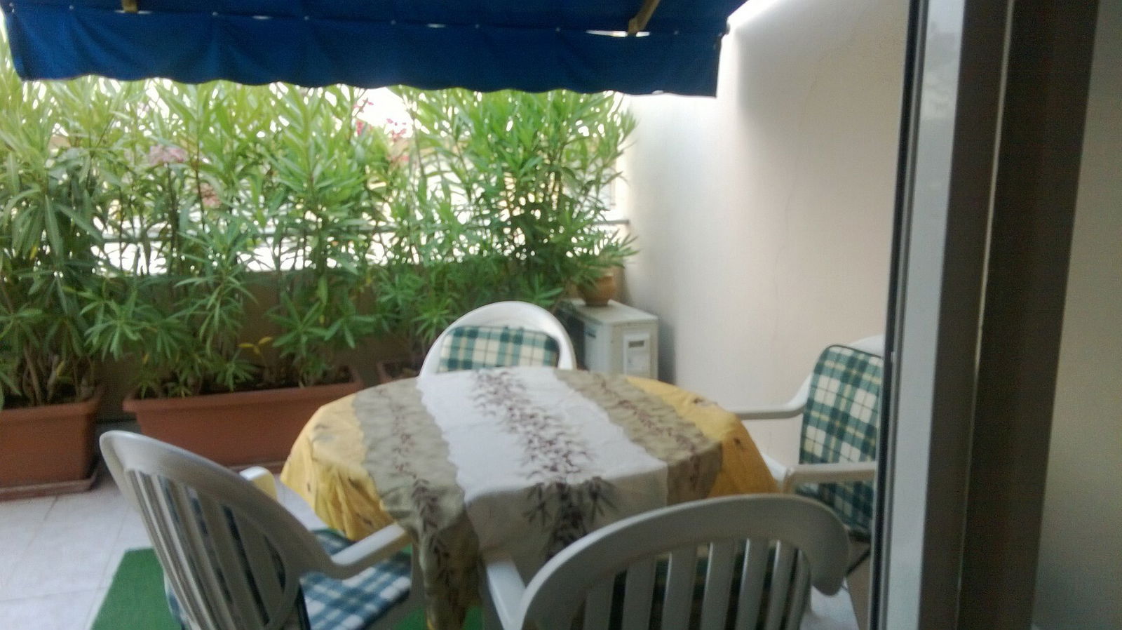 Colocation Antibes 147369