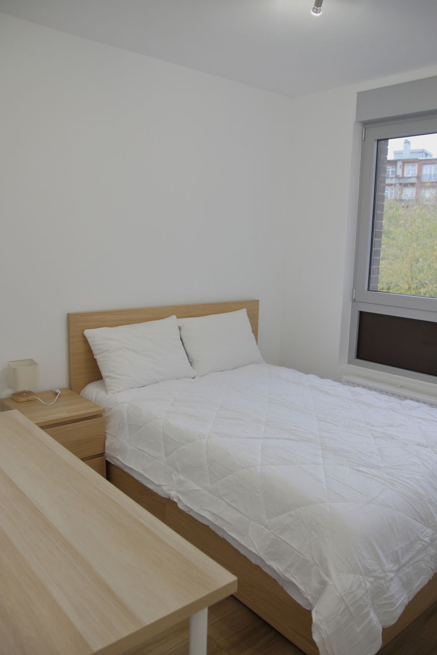 Kolokation Lille 631721