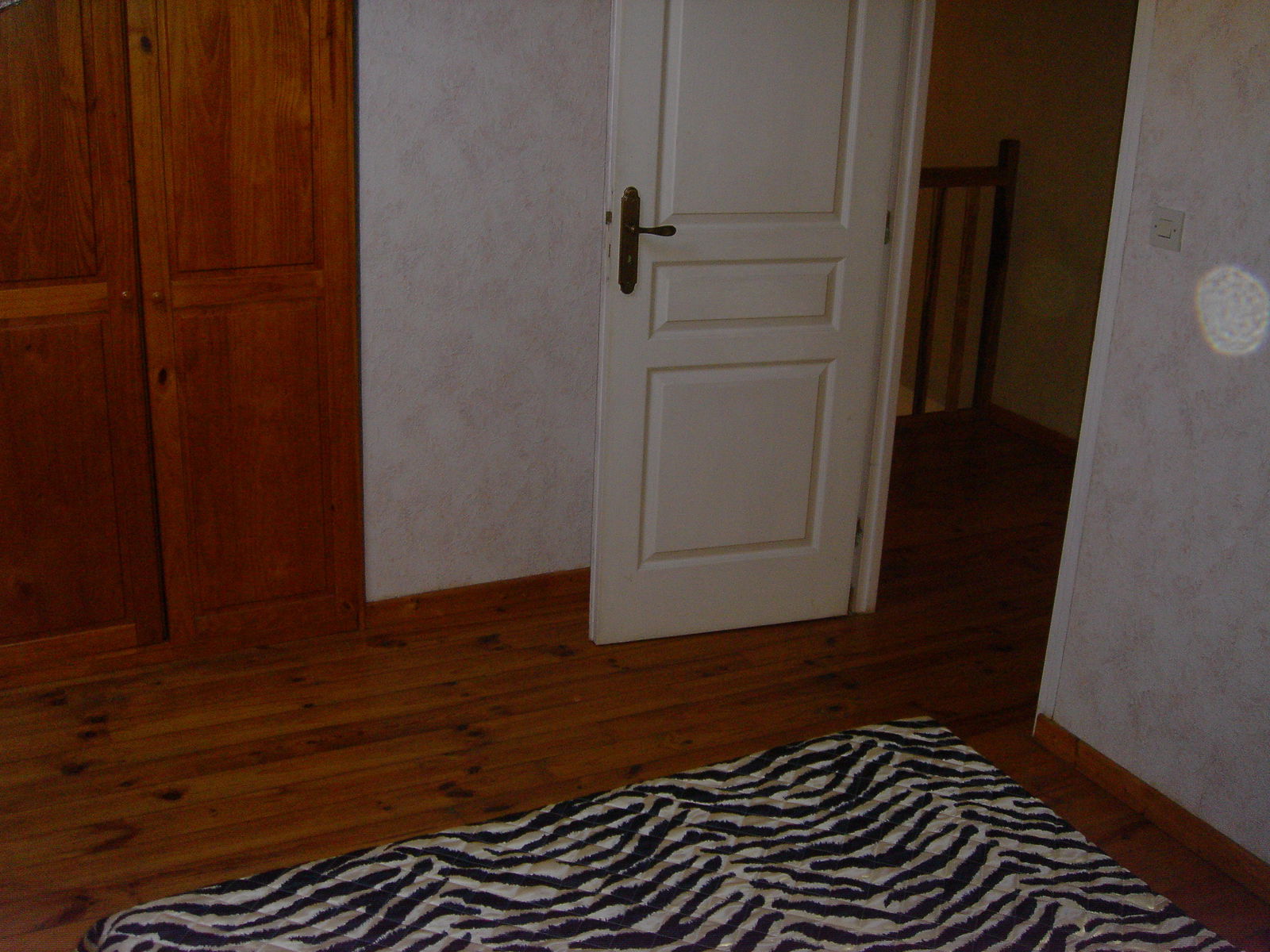 Homestay Orange 247590