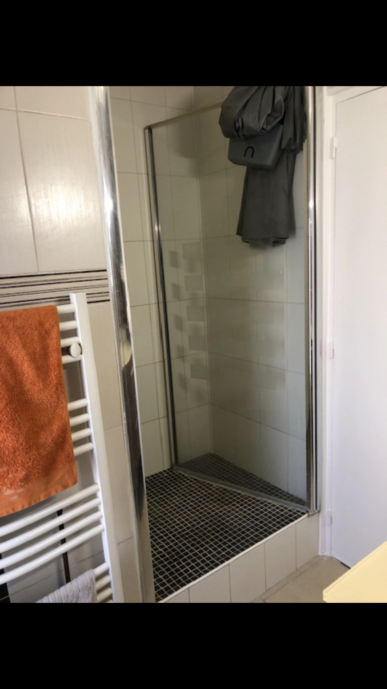 Gastfamilie Villeurbanne 333905