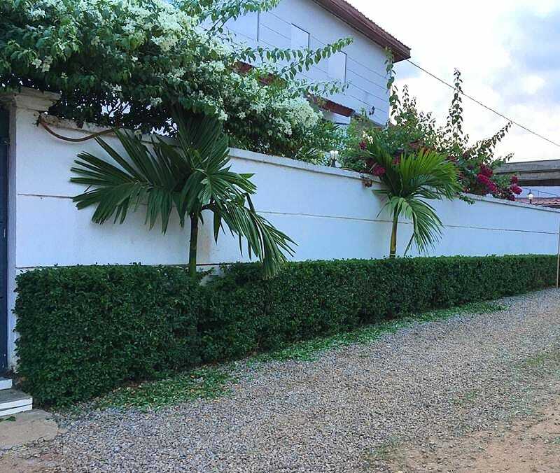 Unabhängiges Studio Yaoundé 234437