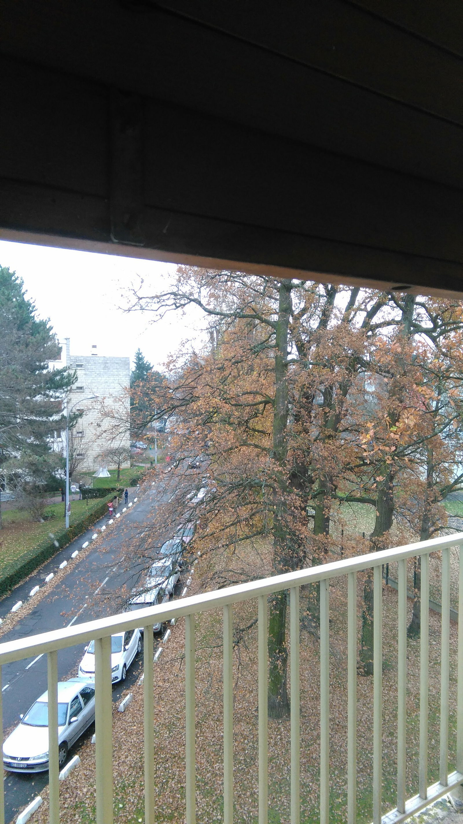 Kolokation Évry 155244