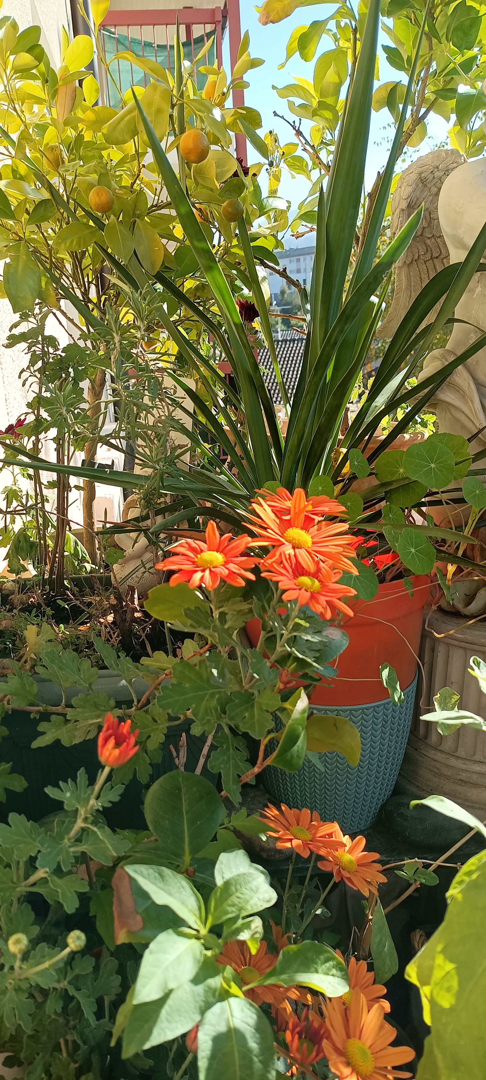 Homestay Thonon-les-Bains 266182
