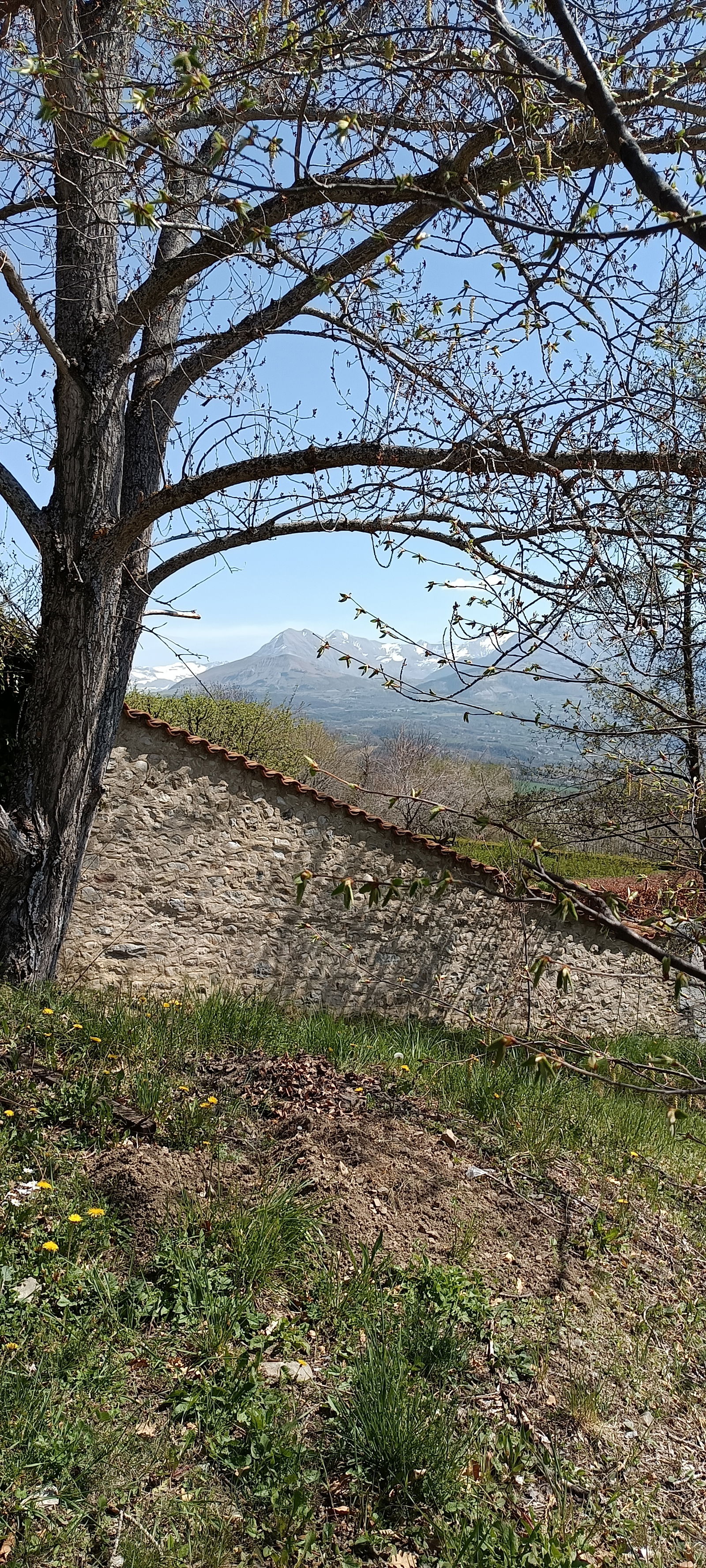 Homestay Thonon-les-Bains 266182