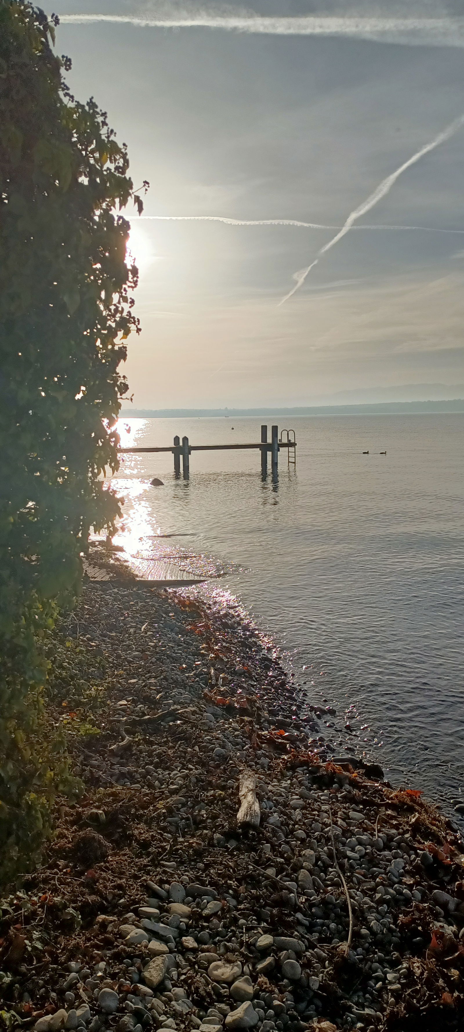 Homestay Thonon-les-Bains 266182
