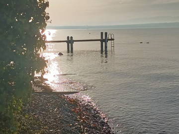 Homestay Thonon-Les-Bains 266182-8