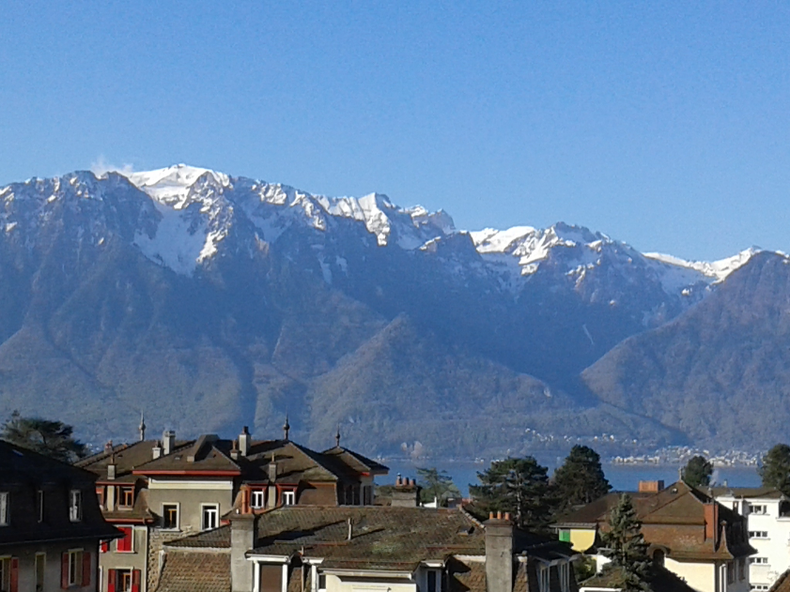 Famiglia La Tour-de-Peilz 232523-2