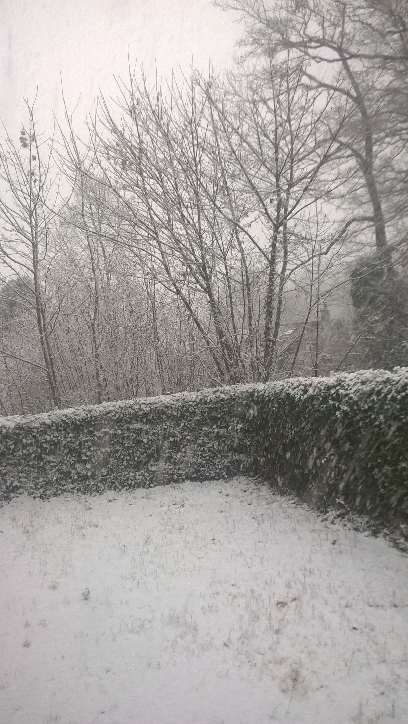 Chambres D'hôtes Lausanne 261301