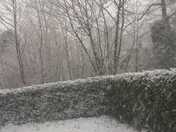 Chambre D'hôte Lausanne 261301-22