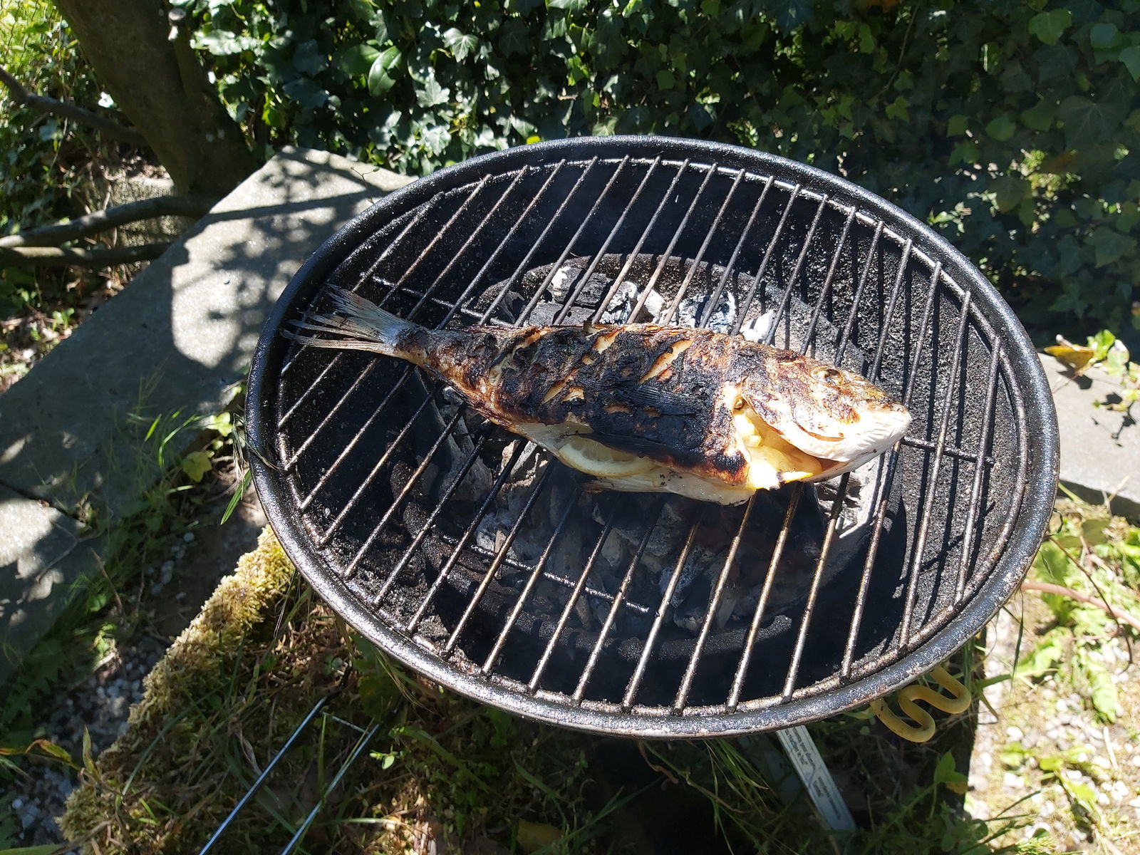 Gästrum Lausanne 261301