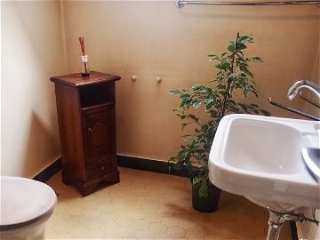 Colocation Lausanne 247203-13