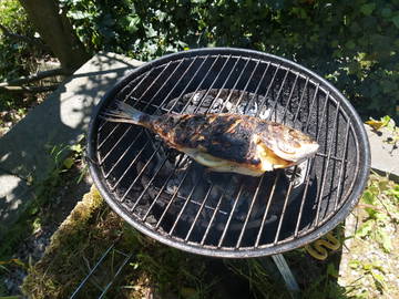 Colocation Lausanne 592484-17