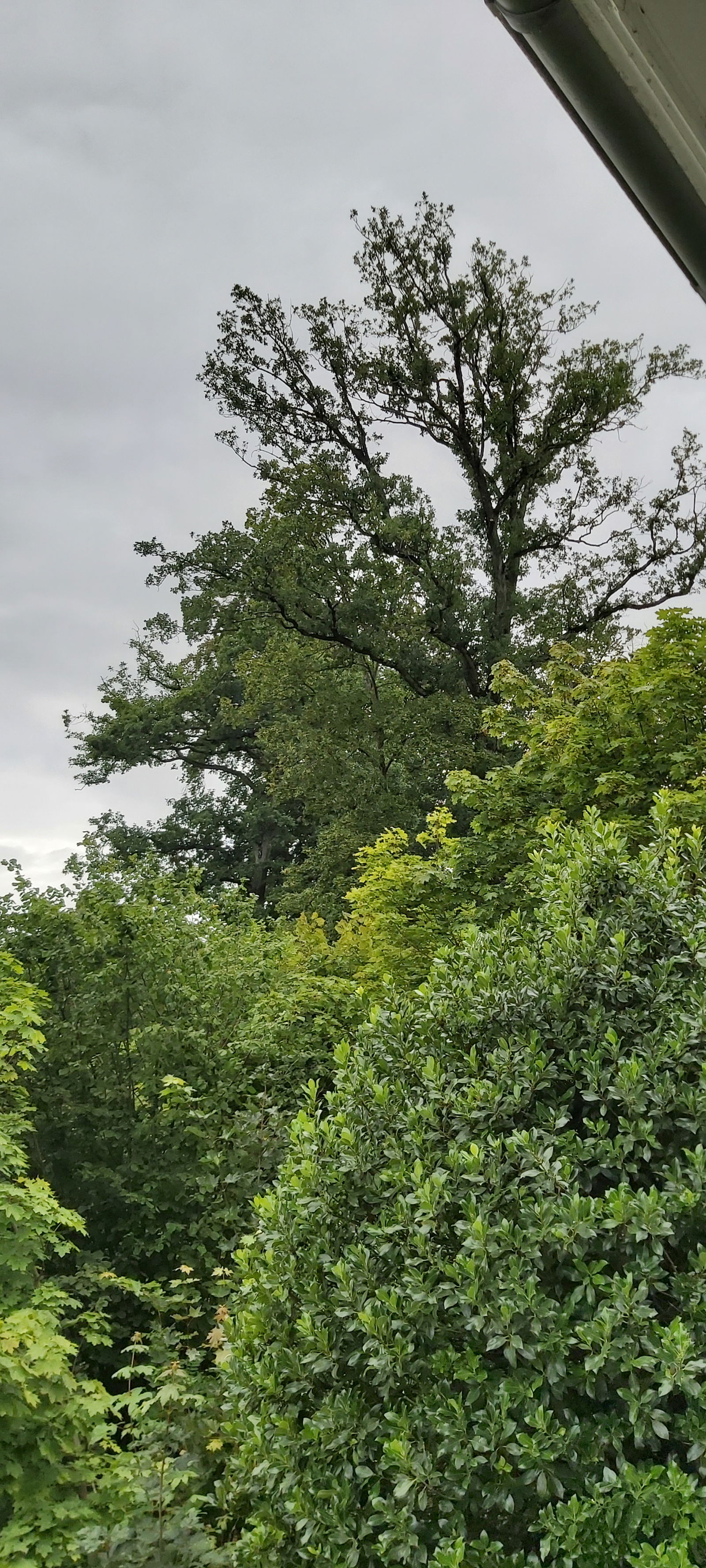 Camere Per Gli Ospiti Lausanne 248301