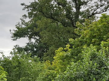 Chambre D'hôte Lausanne 248301-5