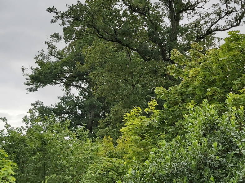 Quartos De Hóspedes Lausanne 248301-5