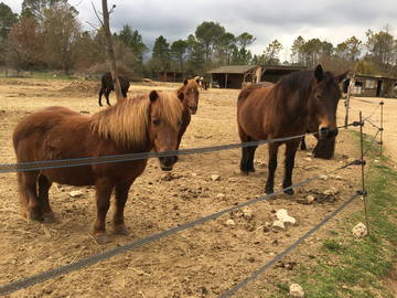 Logement Entier Callian 257464-4