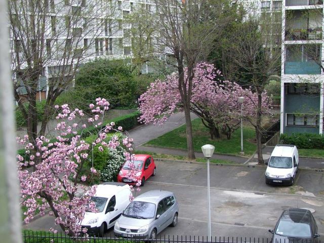 Itsenäinen Studio Paris 45477