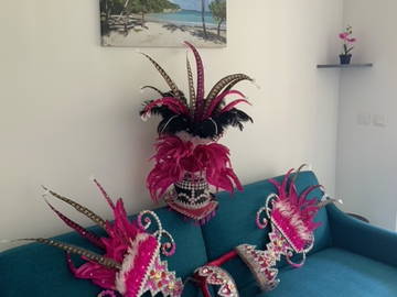 Logement Entier Baie-Mahault 267473-6