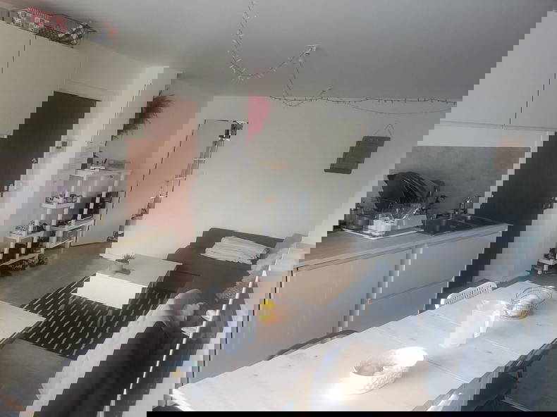 Kolokasie Reims 491008-1