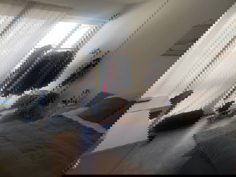 Kolokasie Reims 491008-2