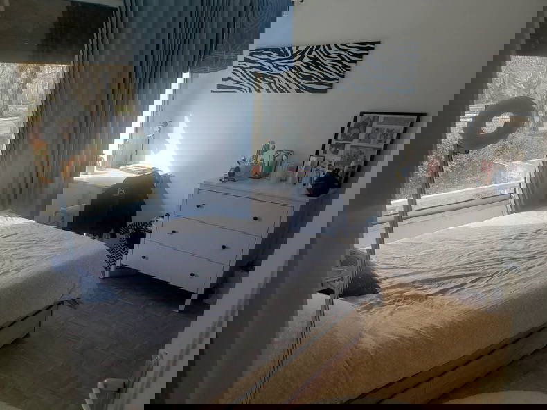 Kolokasie Reims 491008-3