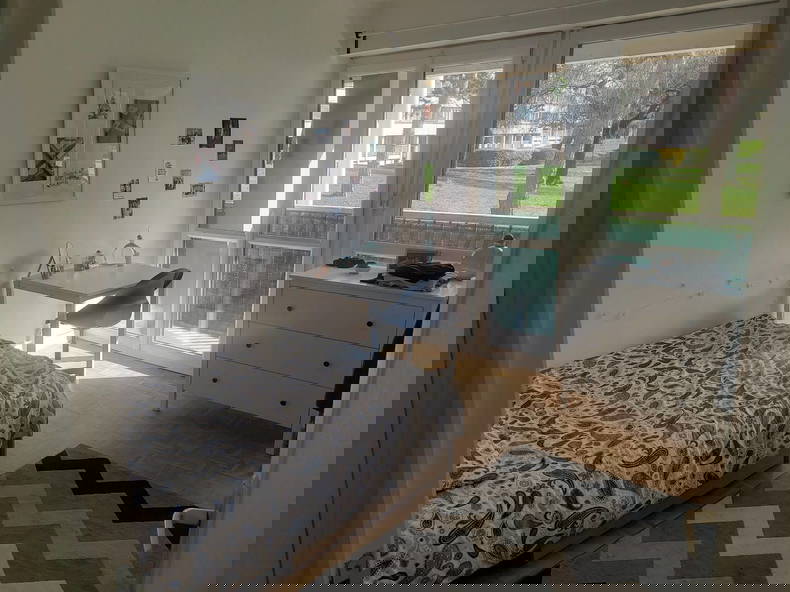 Kolokasie Reims 491008-4