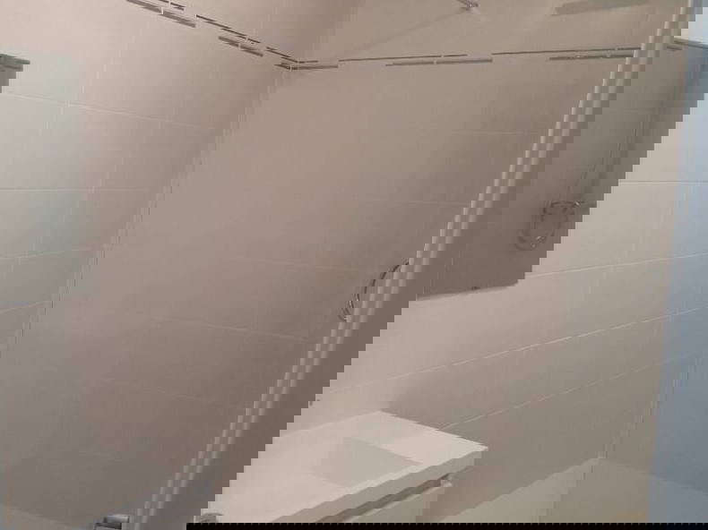 Kolokasie Reims 491008-5