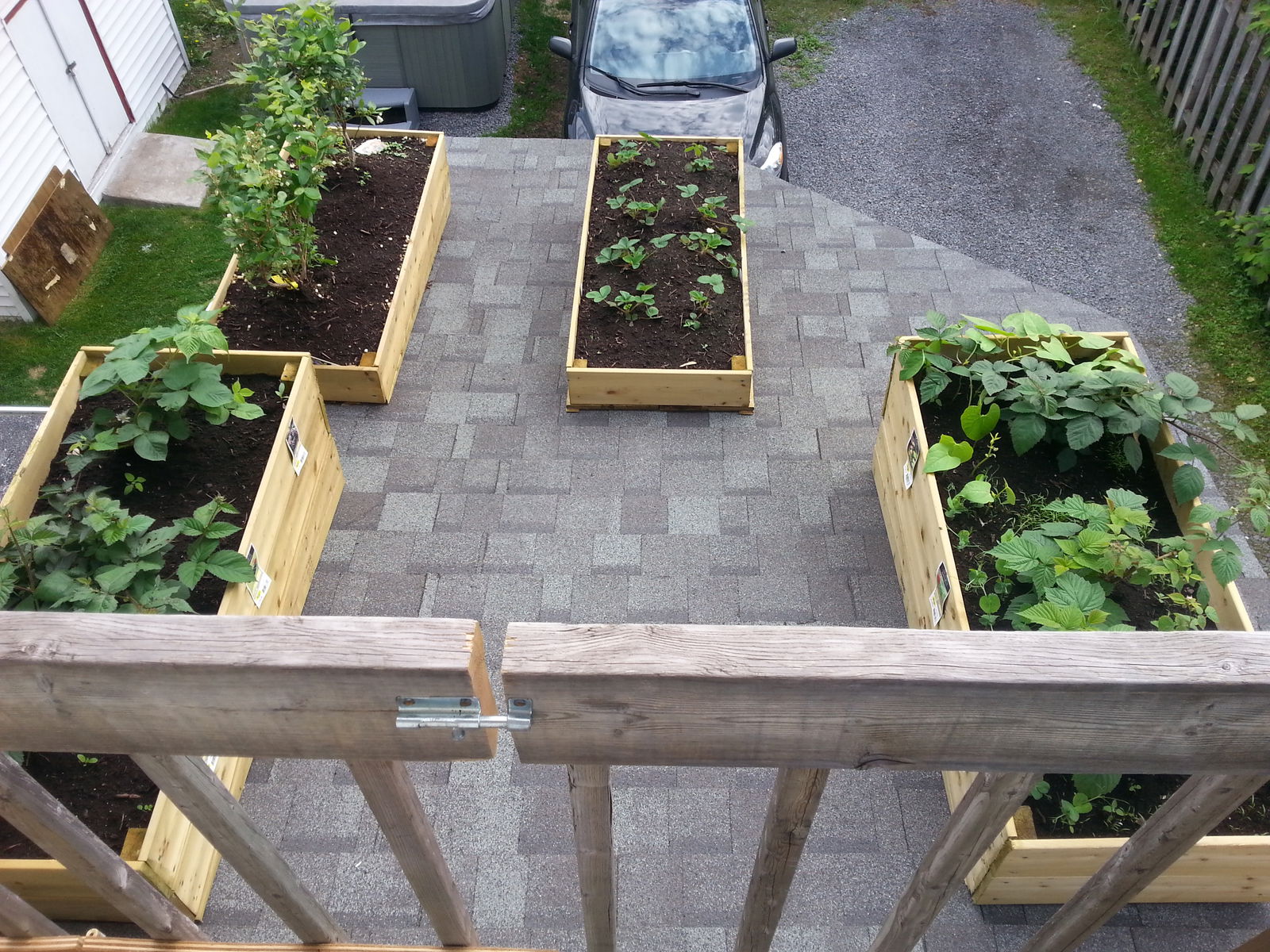Homestay Ville de Québec 157722
