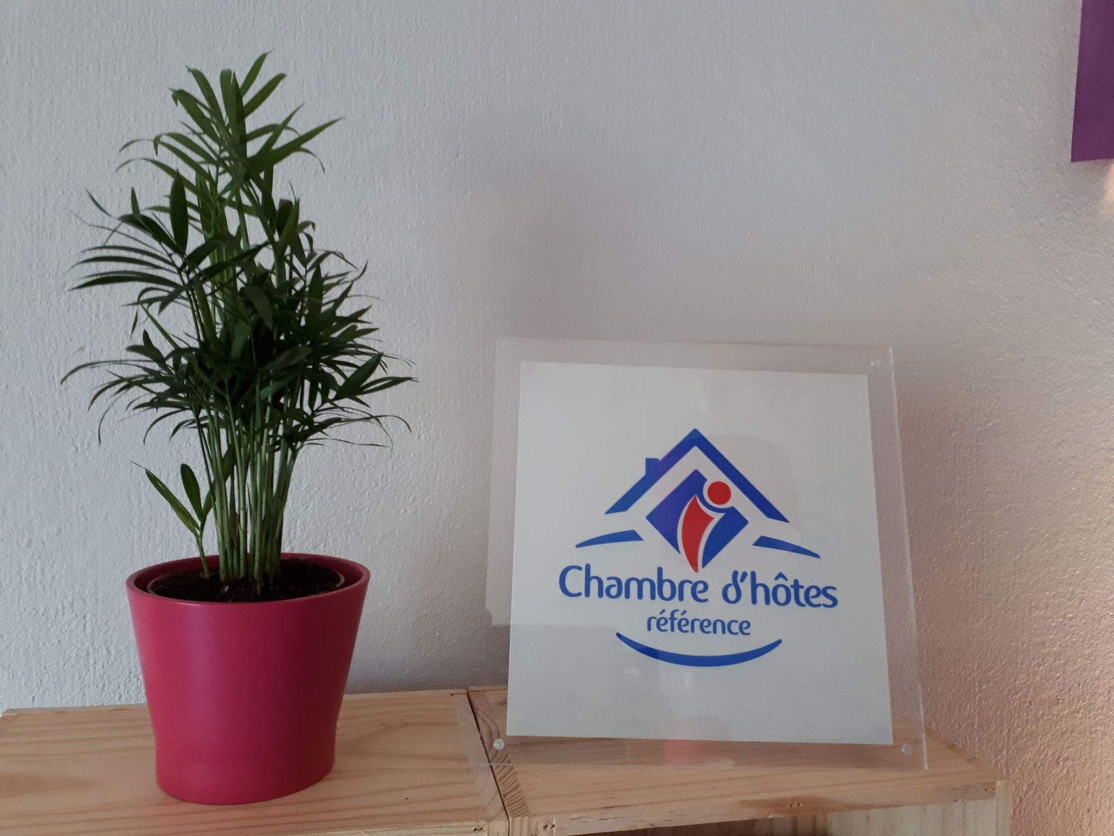 Quedarse En Casa Doazit 265994