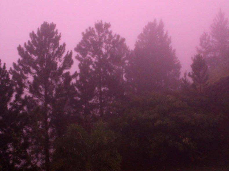 Ganzes Haus Puna'auia 390572-2