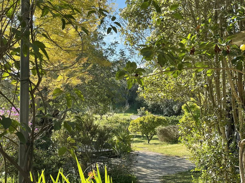 Ganzes Haus Manacor 224576-2