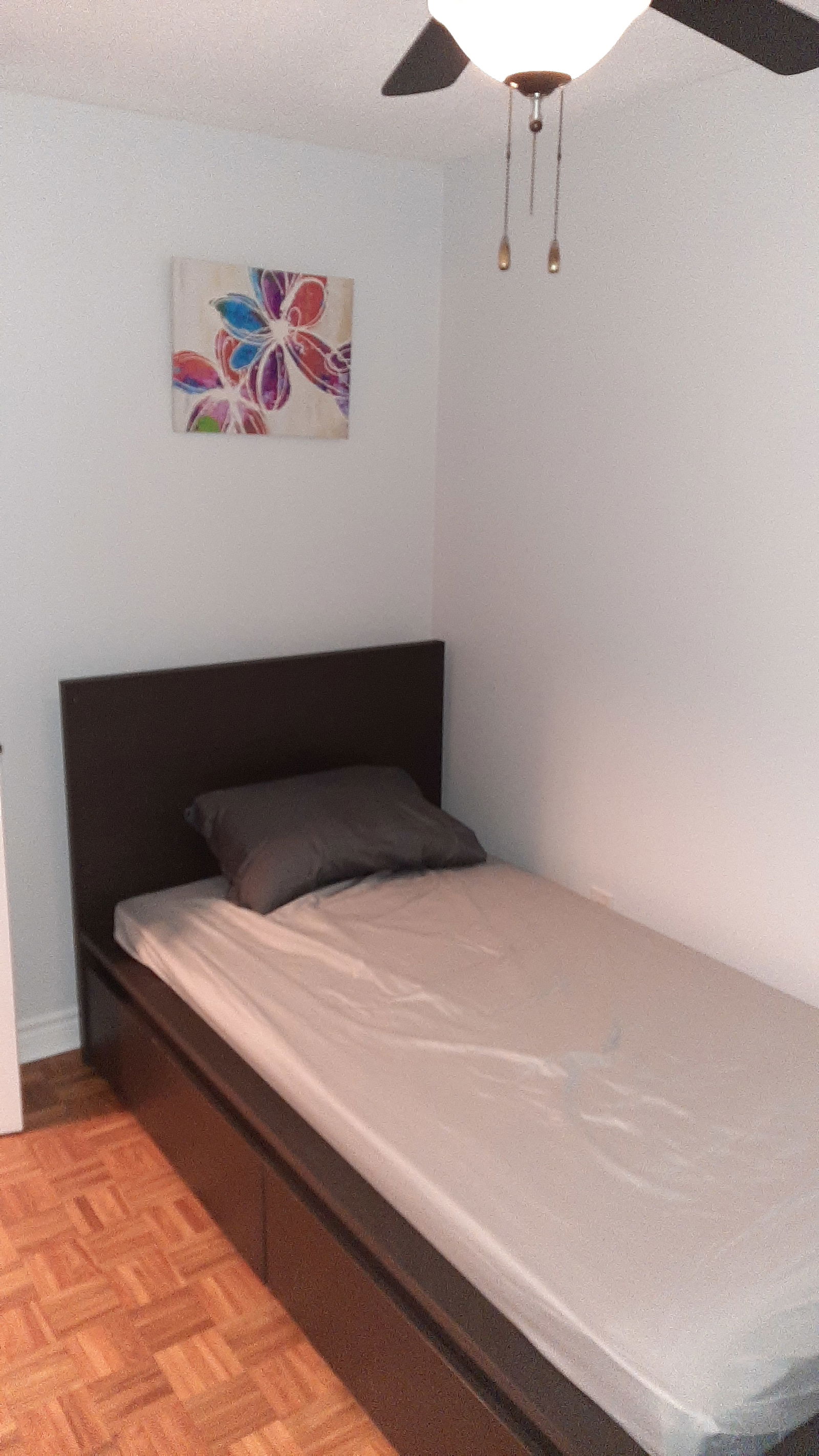 Colocation Gatineau 496686