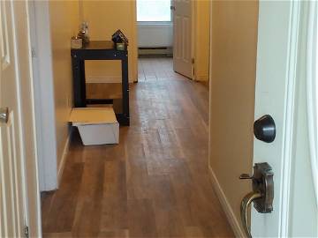 Room For Rent Stanstead 250899