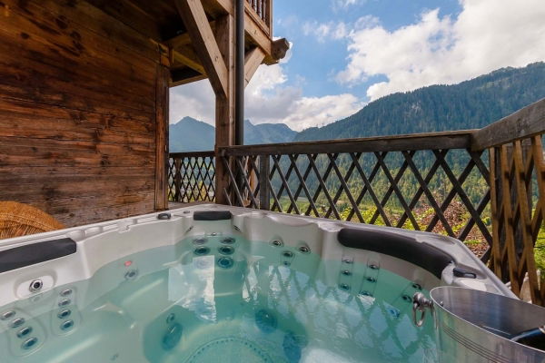 Entire Home Châtel 150288