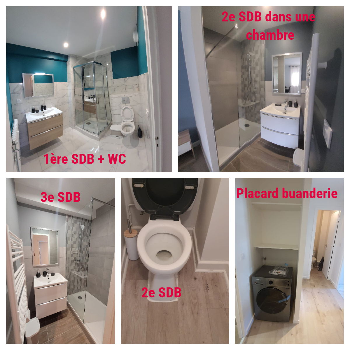 Colocatie Saint-Étienne 262223