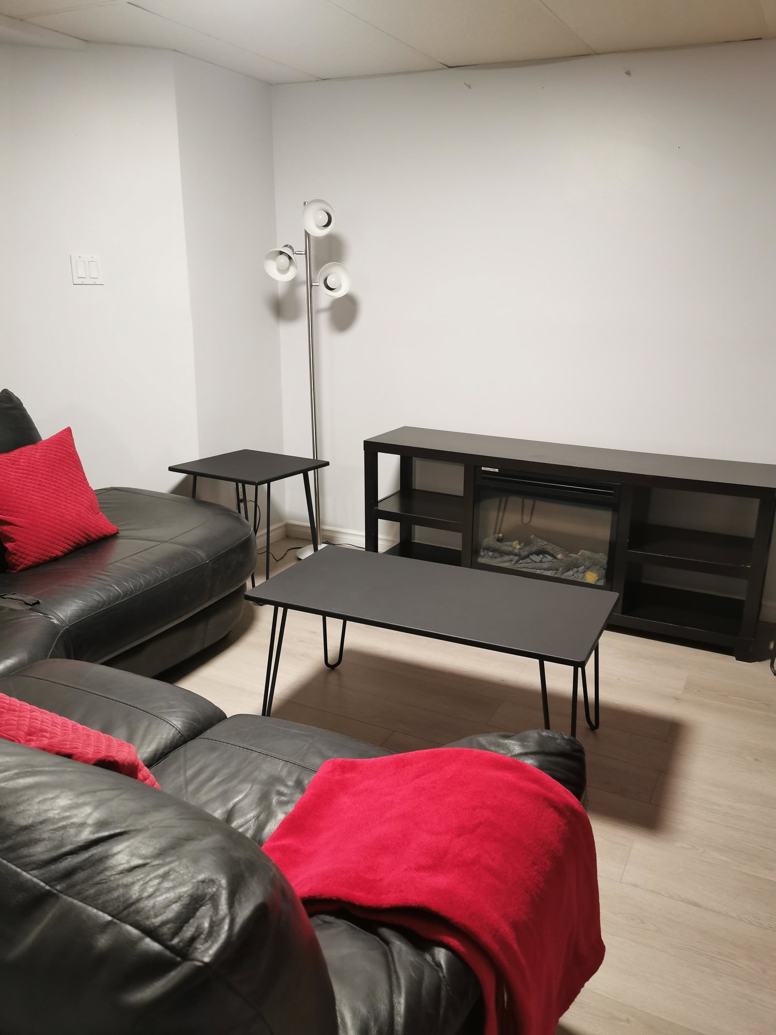 Kolokasie Laval 484503