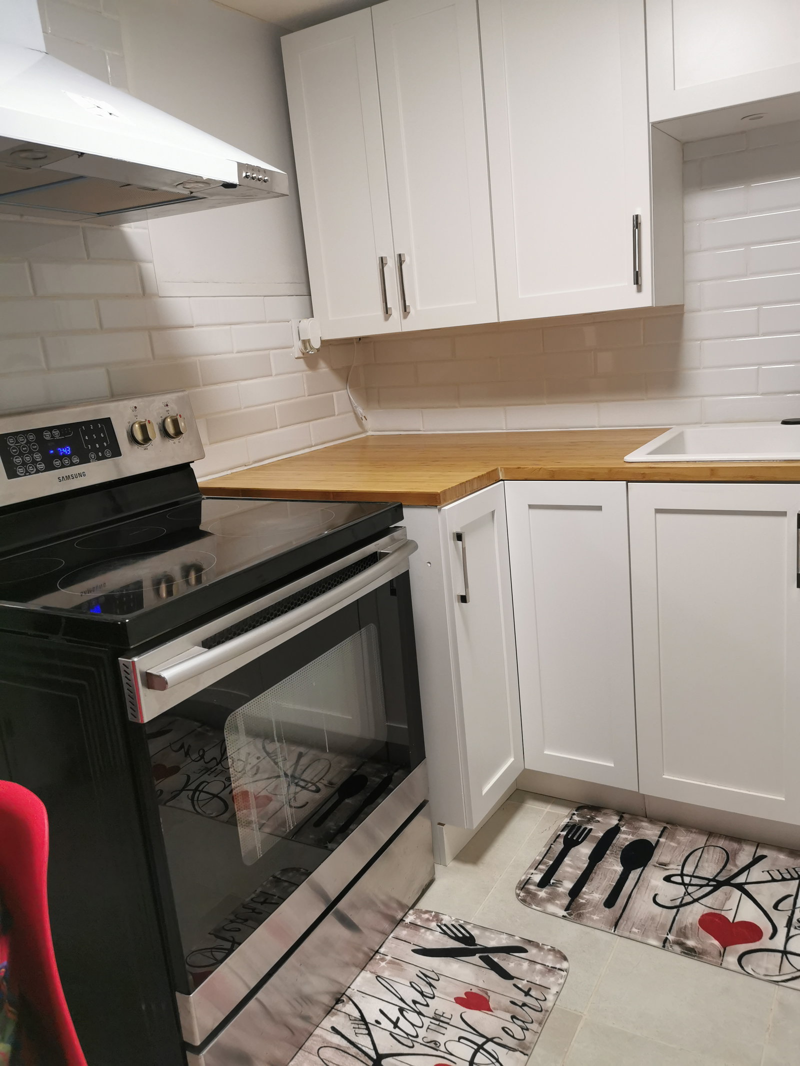 Kolokasie Laval 484503