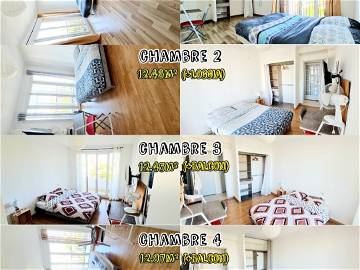 Colocation Perpignan 402567-8