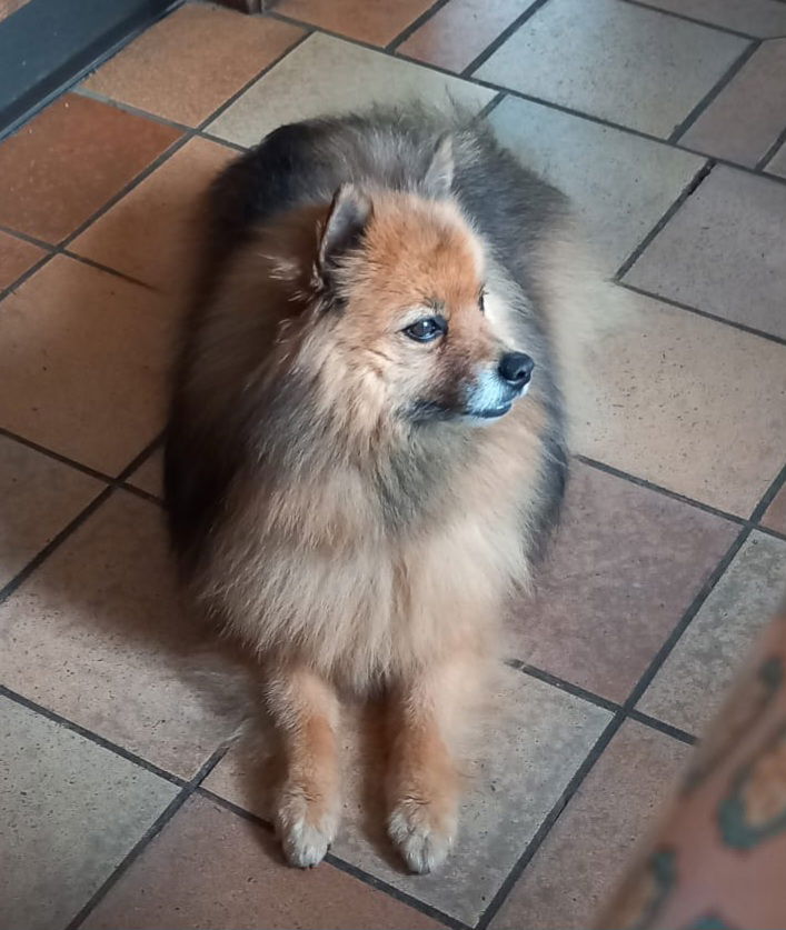 Kotimajoitus Fléron 425753