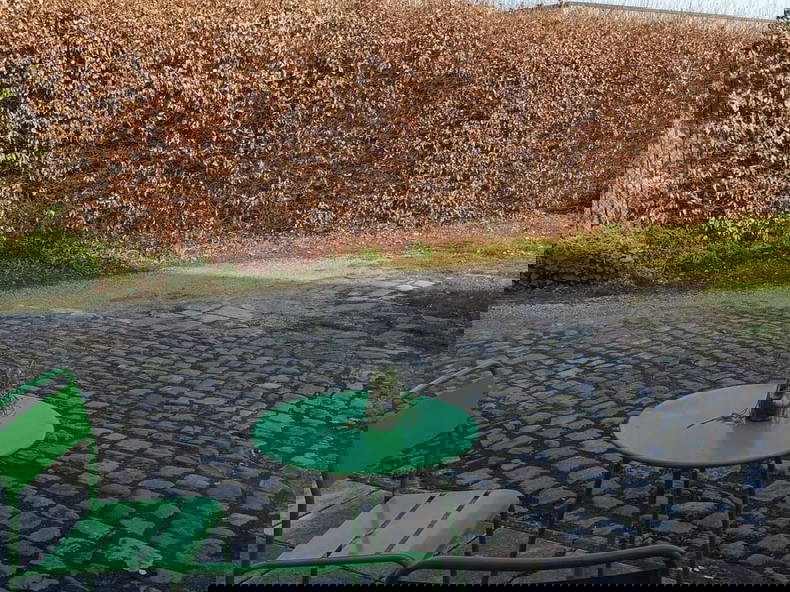 Homestay Neupré 347624-5