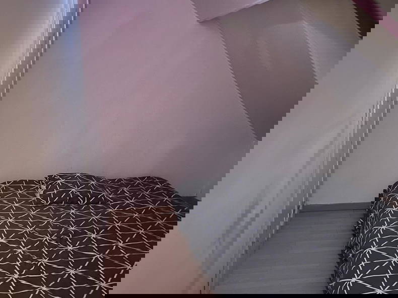 Colocation Lille 393356-3