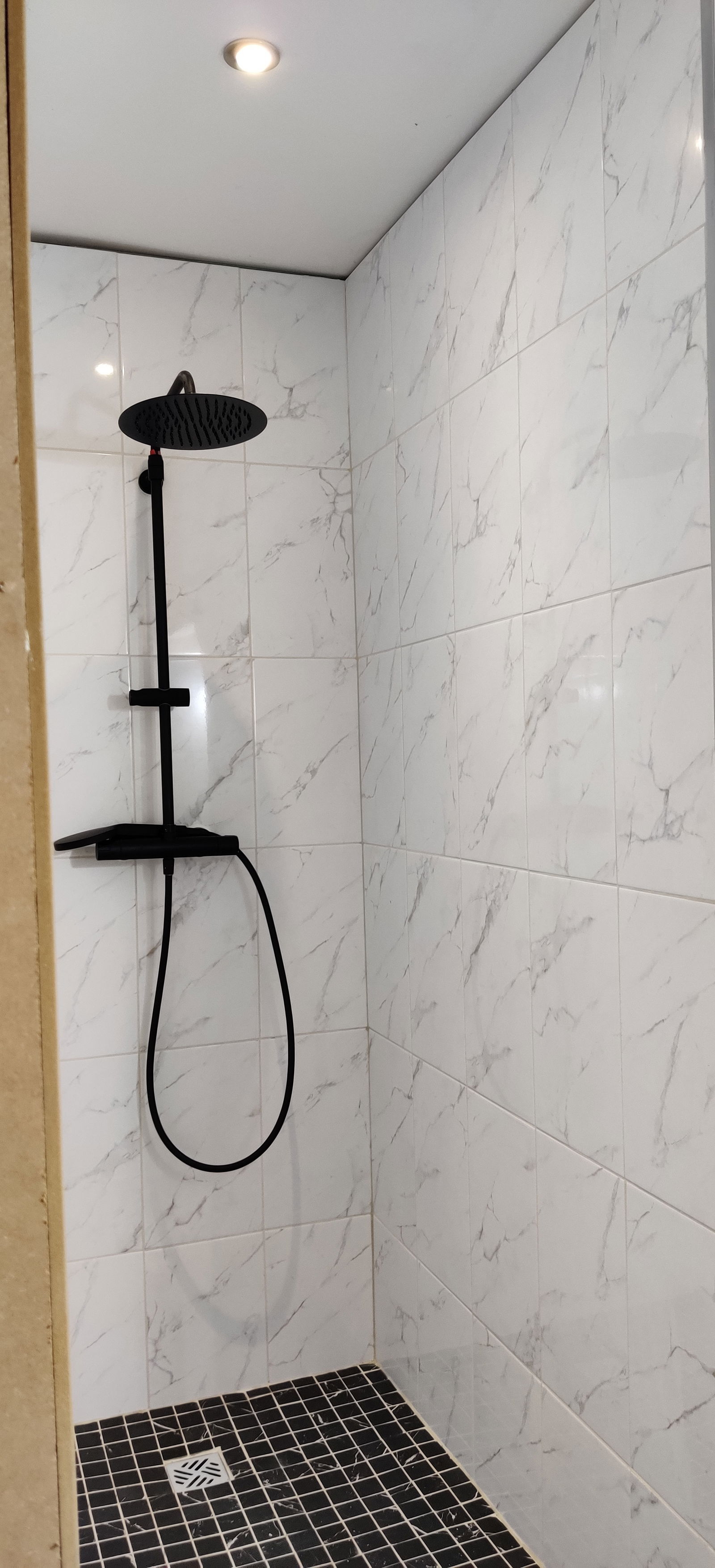 Kolokasie Charleroi 251664